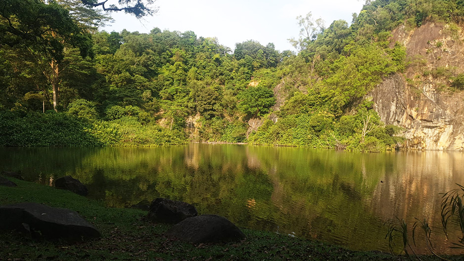 Bukit Batok Town Park