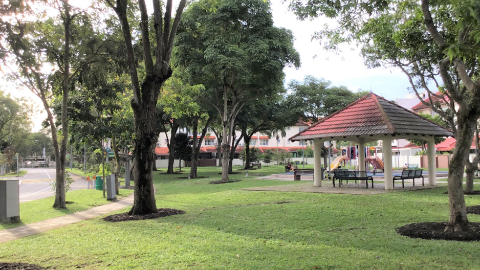 Countryside Playground