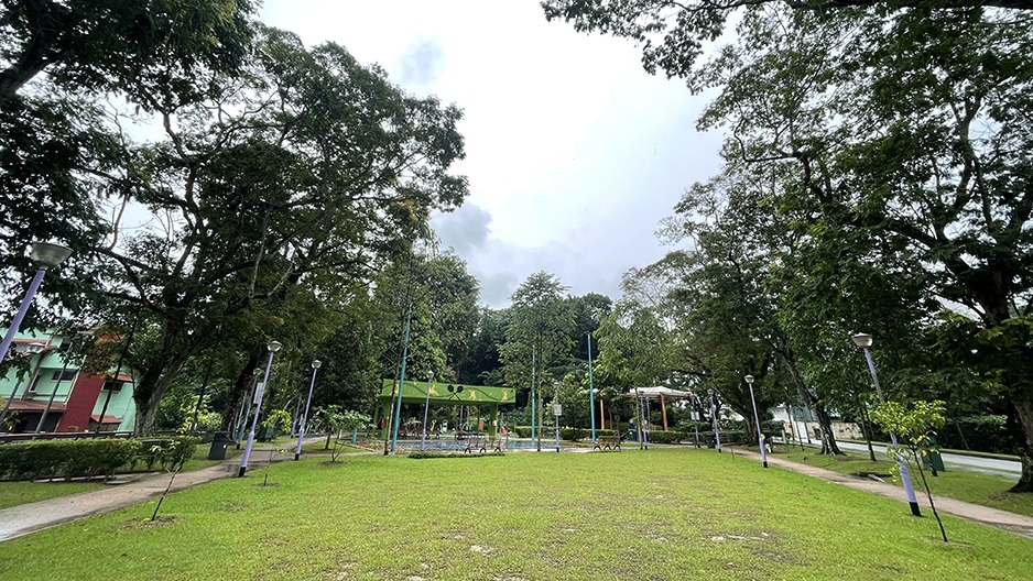 Goldhill Avenue Playground