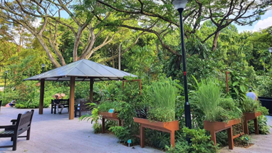 Therapeutic Garden at Telok Blangah Hill Park