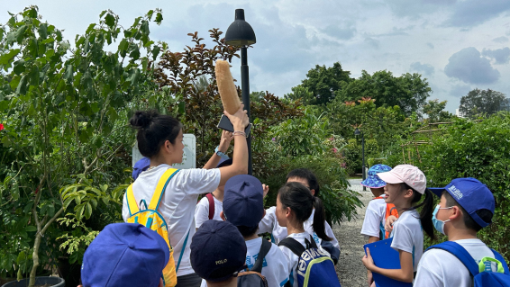 Guided walks for learners